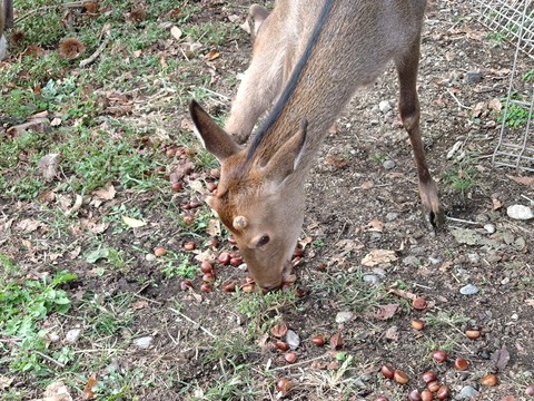 20251012_145120_copy_816x612