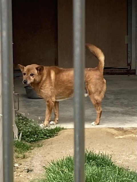 1772323801488_copy_600x797