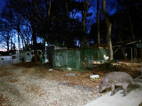 20221223_170644_copy_800x600