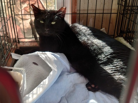 DSC_1550_copy_800x600