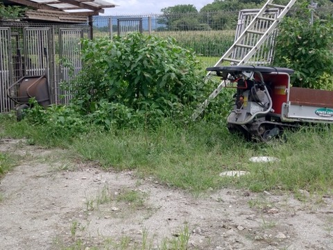20260817_113907_copy_800x600