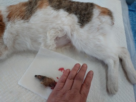 20251123_121130_copy_800x600