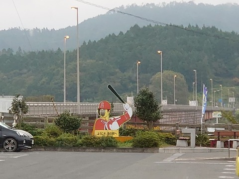 DSC_0842_copy_800x600