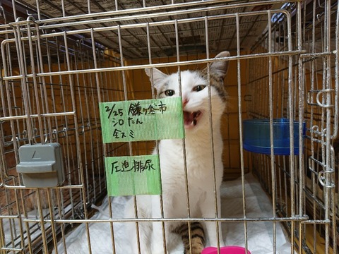 DSC_5742_copy_800x600