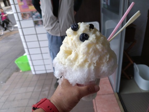 20250625_160238_copy_800x600