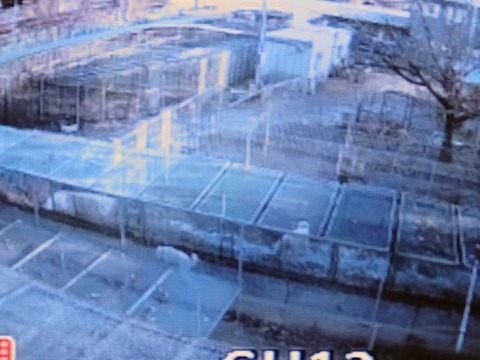 20260103_080641~2_copy_816x612