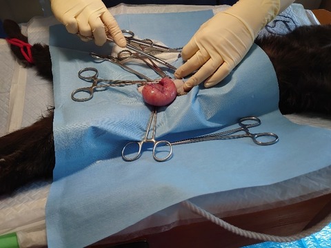 DSC_5664_copy_800x600