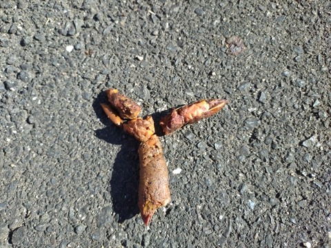 20251023_092744_copy_800x600