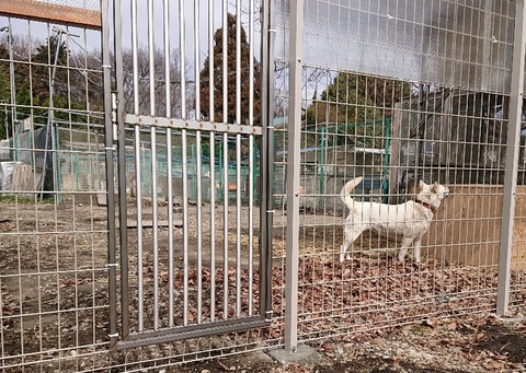 DSC_5883_copy_2848x2022_copy_800x568