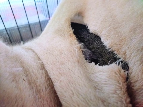 20260222_073800~2_copy_800x600