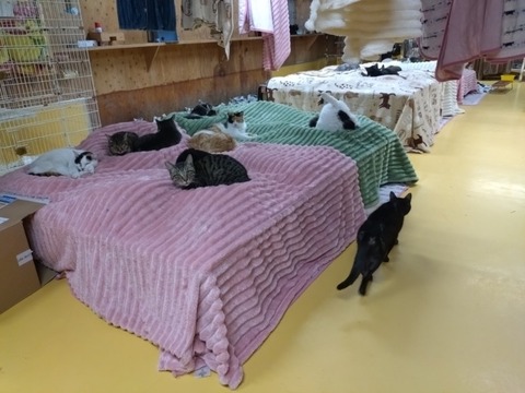 20260116_192430_copy_800x600