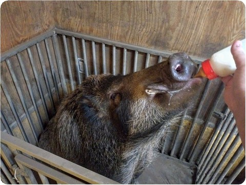 DSC_0000_BURST20250918084834869_COVER