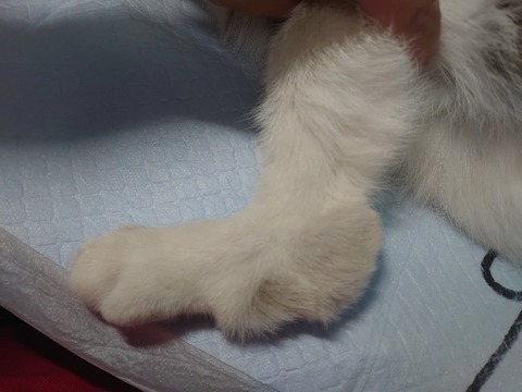 DSC_1302_copy_800x600