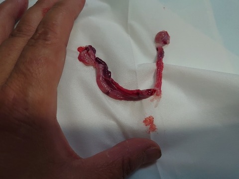 DSC_0299_copy_800x600