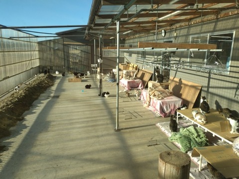 20260106_084251_copy_800x600