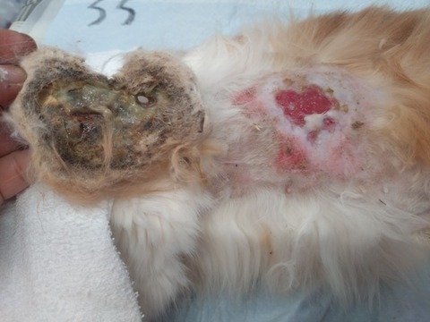 20260120_171658_copy_800x600