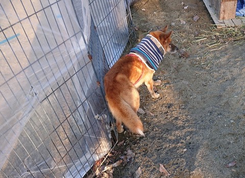 PhotoPictureResizer_200101_084529320_crop_2659x1930-800x581