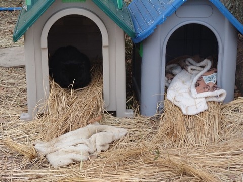 20230302_160408_copy_800x600