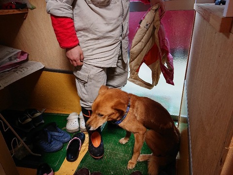 DSC_5358_copy_800x600