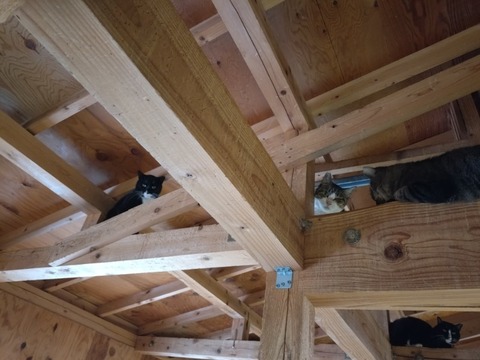 20251011_121835_copy_800x600