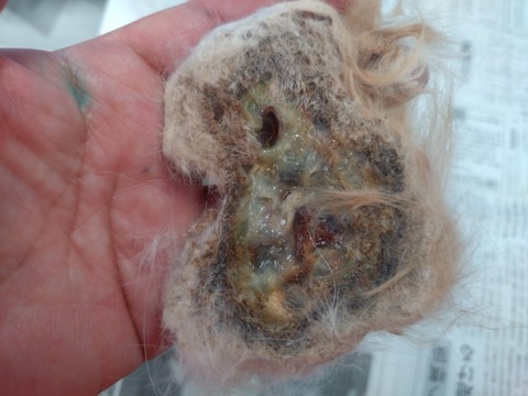 20260120_172503_copy_800x600