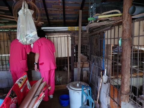 20220723_170129_copy_800x600