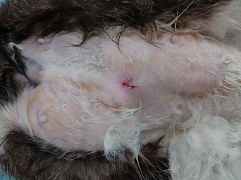 20230527_160608_copy_800x600