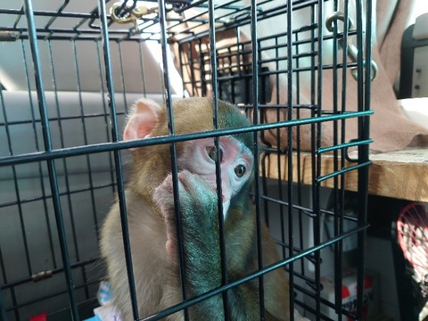 DSC_0023_copy_800x600