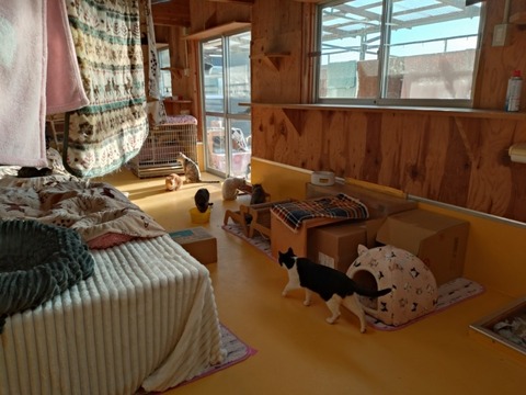 20251223_081056_copy_800x600_1