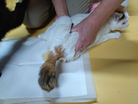 20260304_080034_copy_800x600