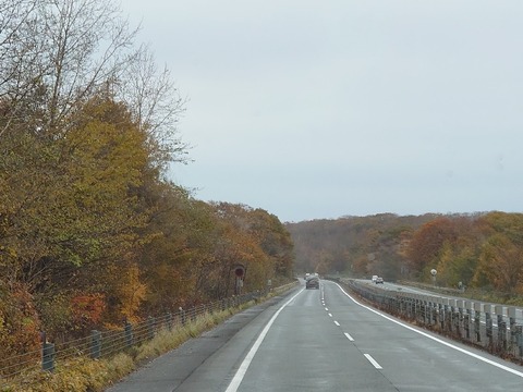 DSC_1003_copy_800x600