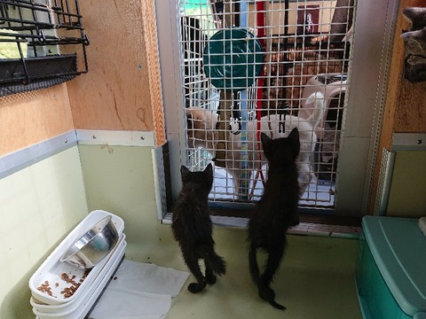 DSC_7094_copy_800x600