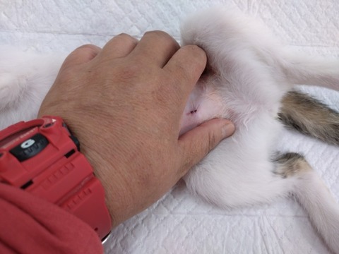 20251126_100335_copy_800x600