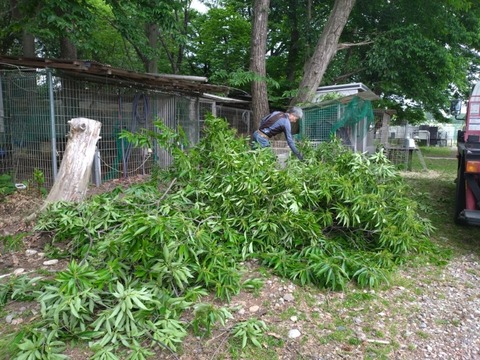 20260508_103725_copy_800x600