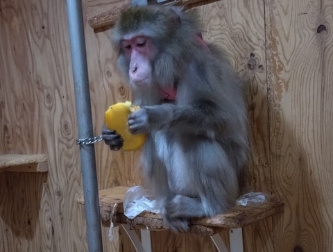 20260301_072607_copy_800x605