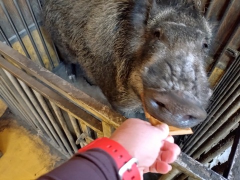 20260131_123244_copy_800x600