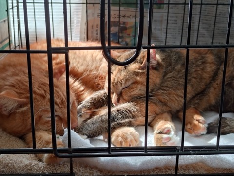 20260301_104730_copy_800x600