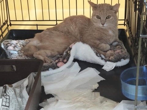 20260209_164333_copy_800x600