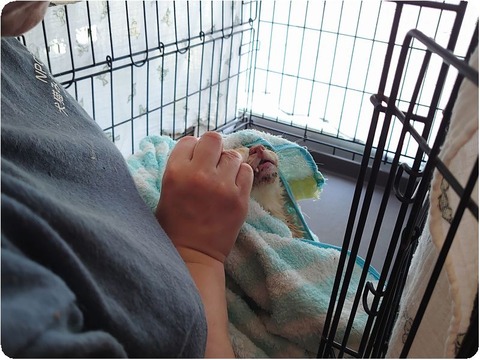 DSC_4754_copy_3226x2420