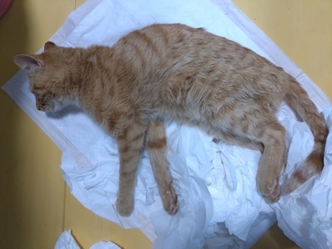 20260125_161841_copy_800x600_1