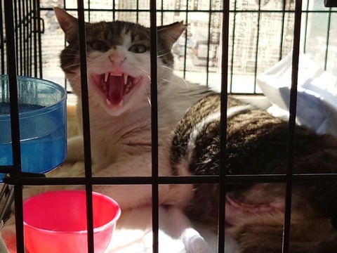 20230228_142641_copy_800x600