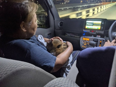 1625194105530_copy_800x600