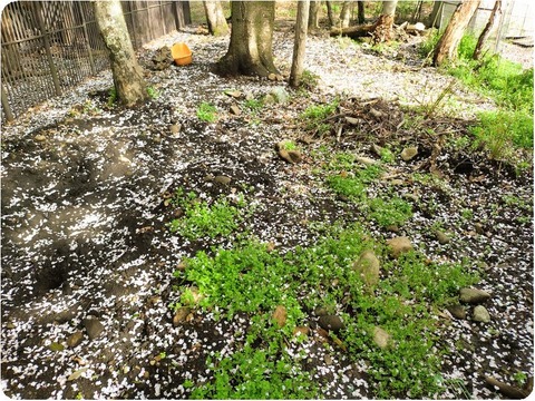 20250424_073819-EDIT (1)