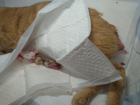 20260120_152049_copy_800x600