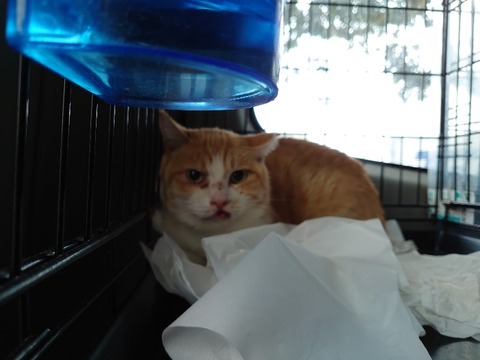 DSC_0859_copy_800x600