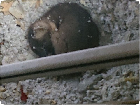 DSC_7007_copy_600x800