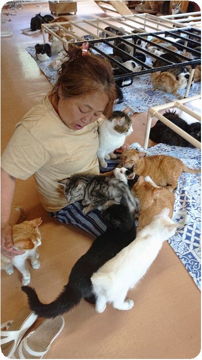 DSCPDC_0002_BURST20190523131