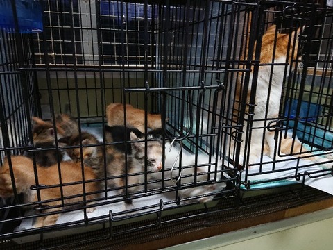 DSC_6759_copy_800x600