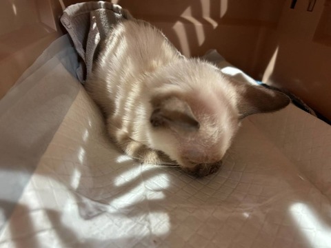 1765875015175_copy_738x554