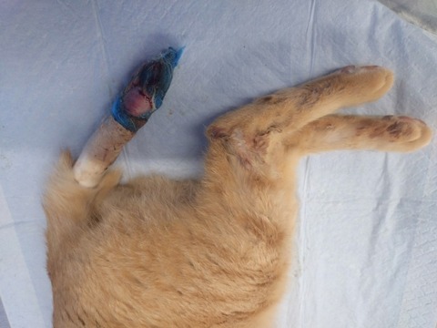 20260120_144430_copy_800x600